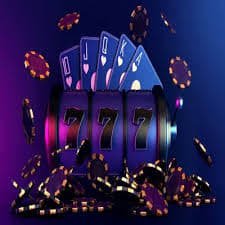 366bet cassino