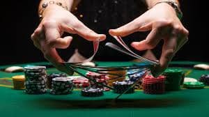 366bet cassino